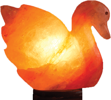 Duck Salt Lamp