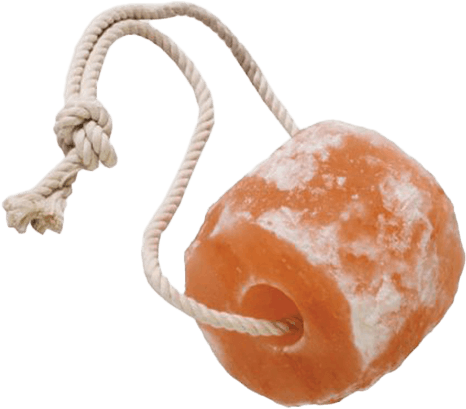 animal salt lick