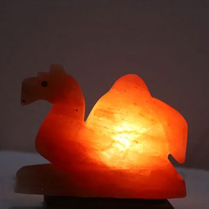 Camel Shape Salt Lamp​