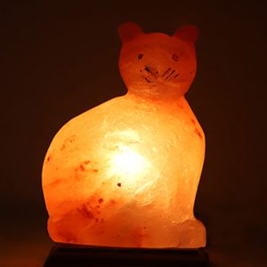 Cat Shape Salt Lamp