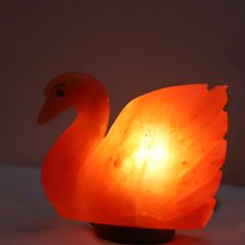 Duck Shape Salt Lamp​