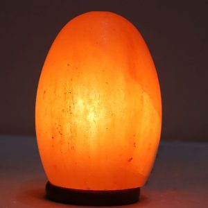 Egg Shape Salt Lamp​