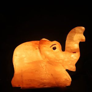 Elephant Shape USB Salt Lamp
