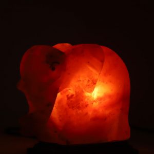 Elephant Shape Salt Lamp​