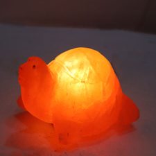 Turtle Shape Salt Lamp